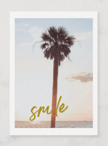 tropics, palm trees, coastal, east coast, florida, gift cards