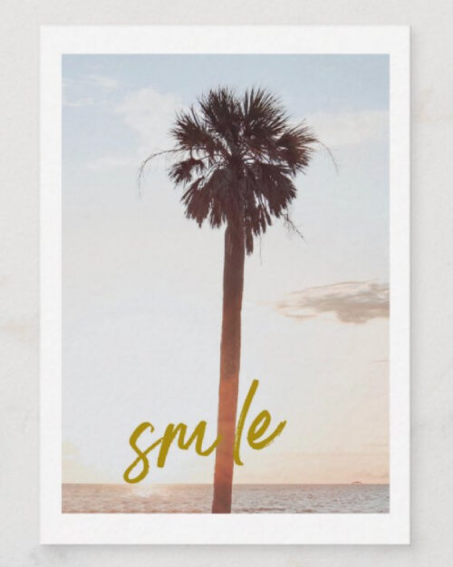 tropics, palm trees, coastal, east coast, florida, gift cards